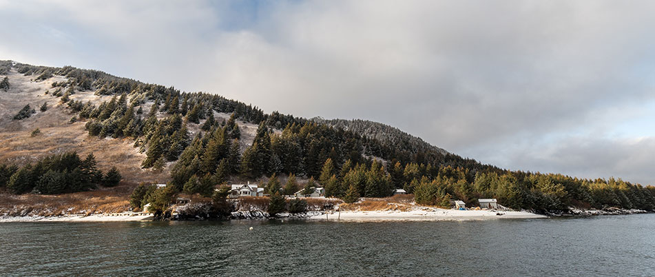 Kodiak Raspberry Remote Island Lodge
